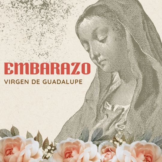 oración virgen Guadalupe para pedir un bebé