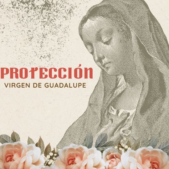 pedir protección a la virgen de Guadalupe