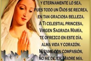 Frases de Buenas Noches Espirituales a la Virgen María: Gratitud Celestial